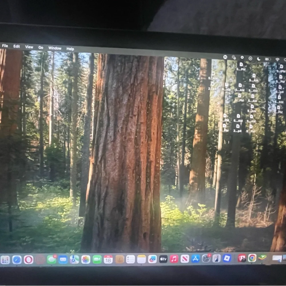Apple MacBook Gold Air